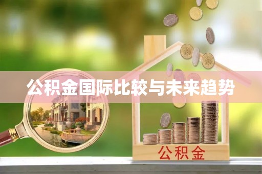 永宁公积金国际比较与未来趋势