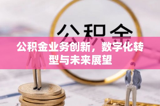 永宁公积金业务创新，数字化转型与未来展望