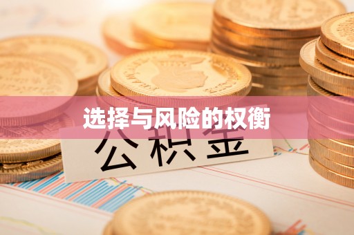 永宁选择与风险的权衡
