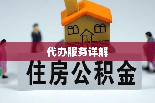永宁代办服务详解