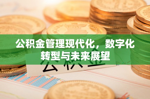 永宁公积金管理现代化，数字化转型与未来展望