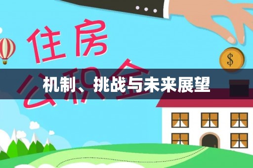 永宁机制、挑战与未来展望